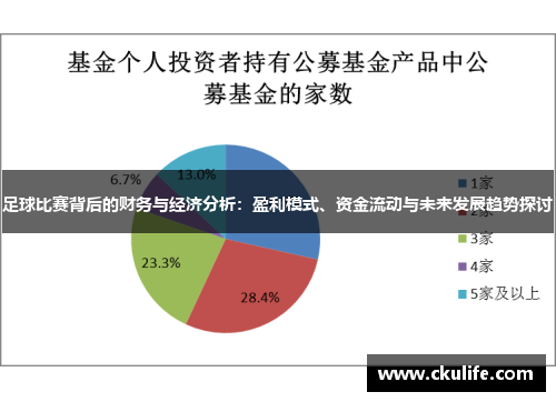 足球比赛背后的财务与经济分析：盈利模式、资金流动与未来发展趋势探讨